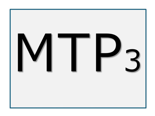 2025年MTP 一般 3日間(オンライン)